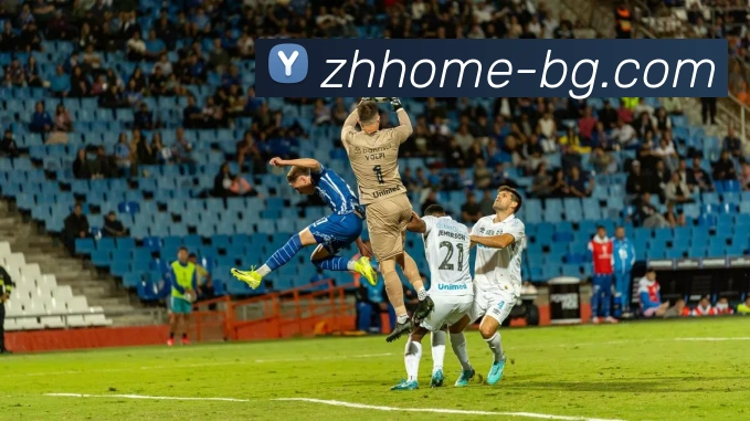 多媒体互动体验